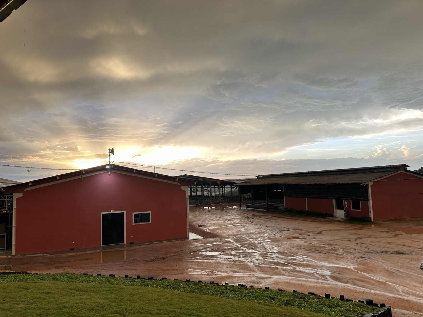 Barracões da fazenda